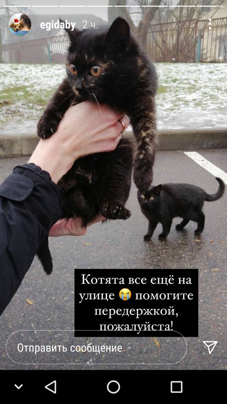 Screenshot_20210104-200144