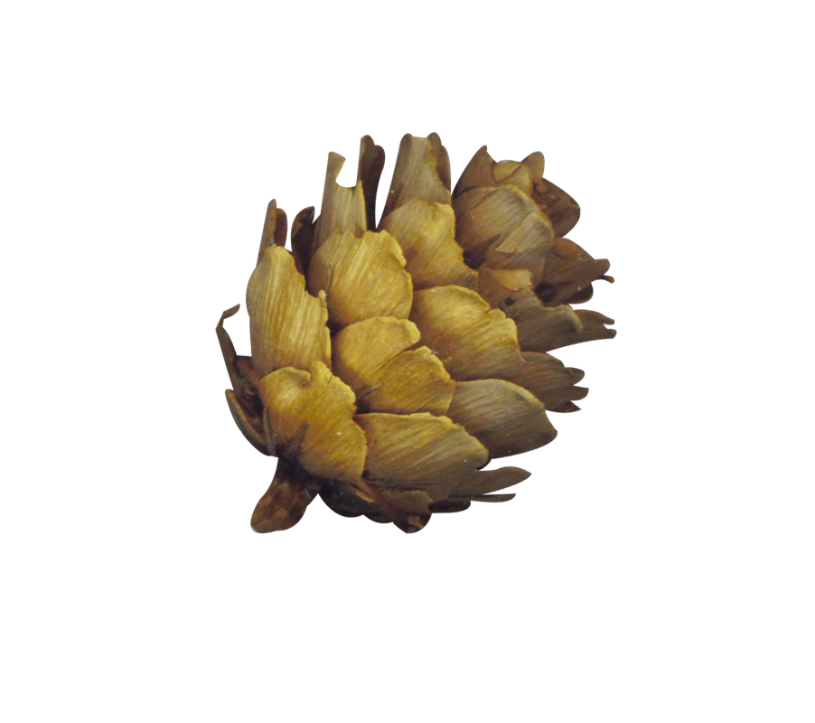 GJ_PUClusterJoyfulSnowman (8)