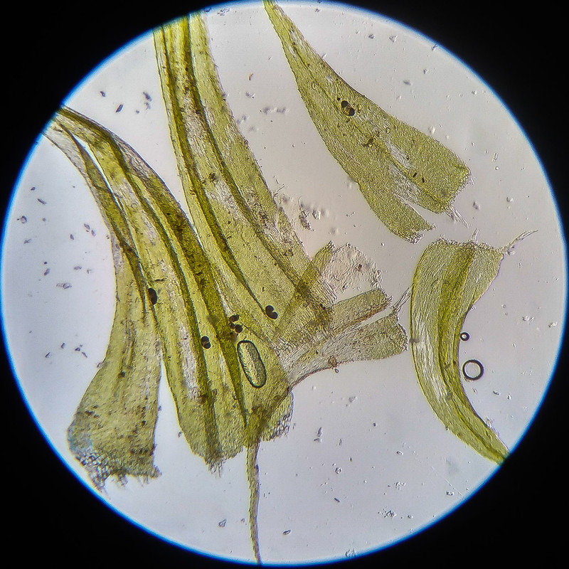 IMG 20250614 122650 HDR