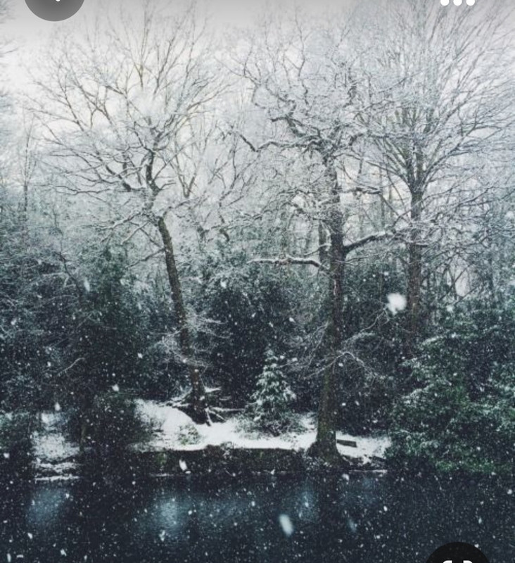 Screenshot_20231009_232532_Pinterest