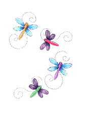 Butterflies_4