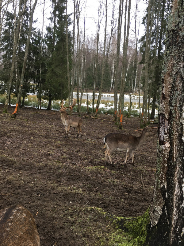 99CC3C90-6A46-4D4C-B56D-07257826F2C4