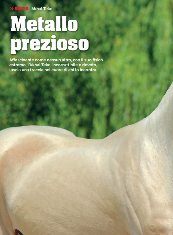 Il Mio Cav (Ott 2022) (5)