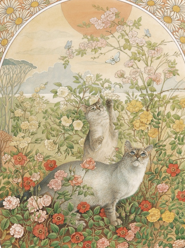 NOON-RA-RA-AMD-MU-MU-IN-ROSES-1-C25008-1