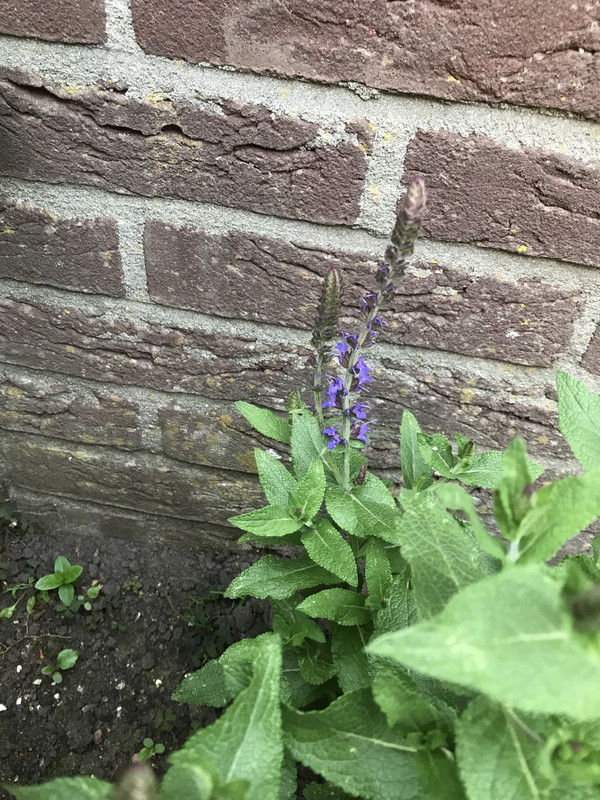 9E5B8A57-9E4B-4123-96EC-CE6206CC6211