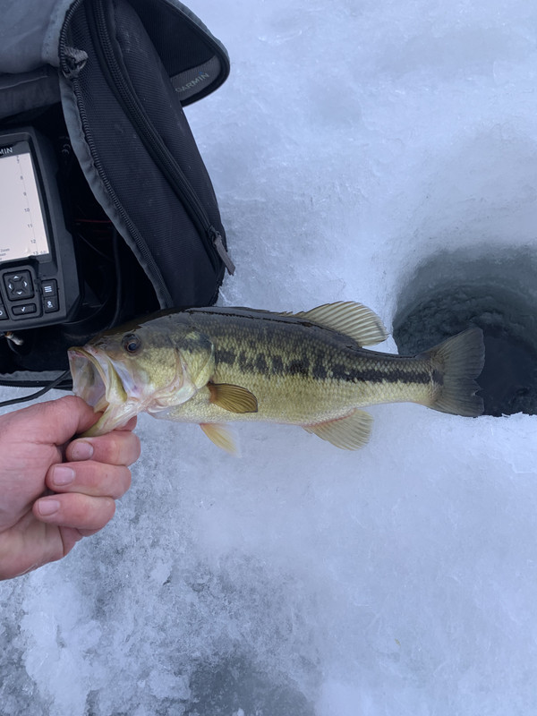 2FAA6FED-4F15-4018-8AD5-BABA89750E6E