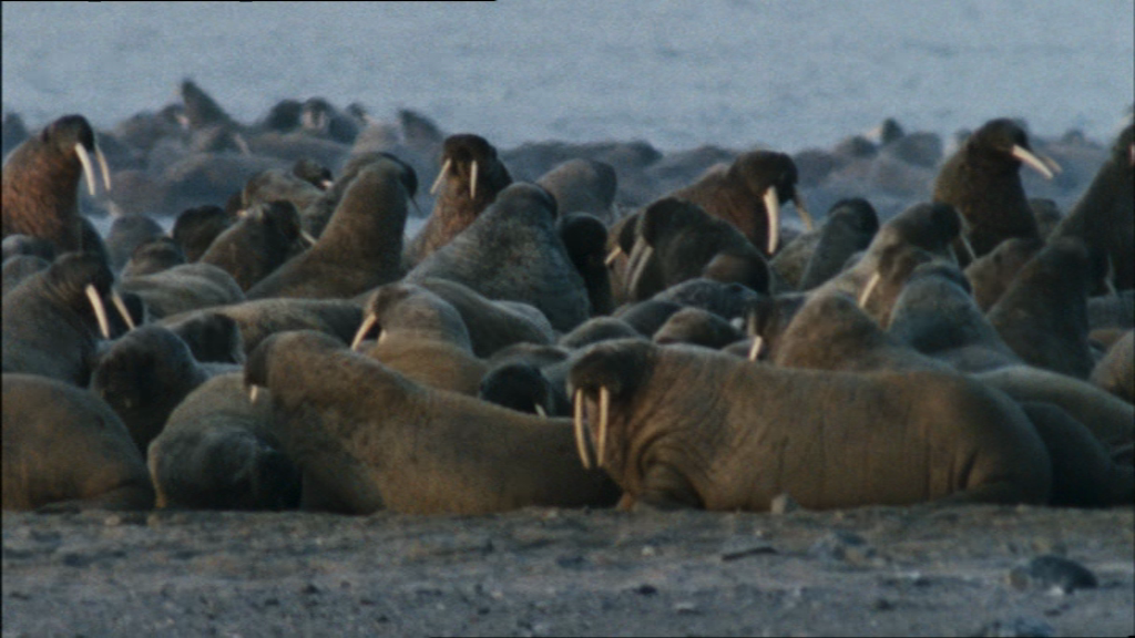 vlcsnap-2018-06-02-22h38m31s282