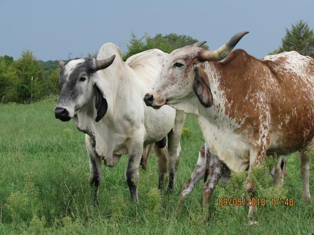 52E8A0C3-AAB6-47FD-90D8-459EE840178A