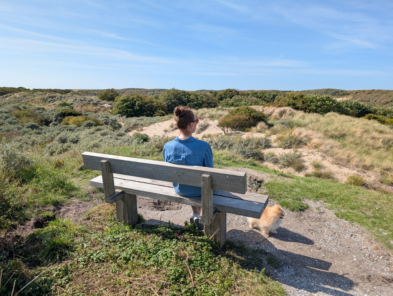 Трое в Амстердаме, не считая собаки. Переезд в Нидерланды.