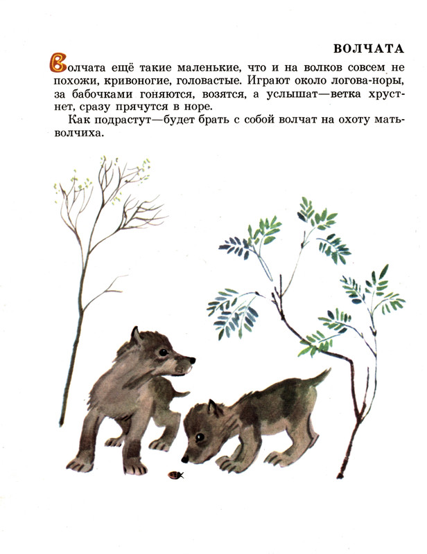 Snegirov-Gennadij-Tungus-i-Vernyj-500756-24