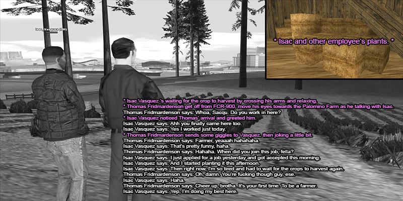 Meeting-Isac-on-Palomino-Farm-as-he-work-in-there.png