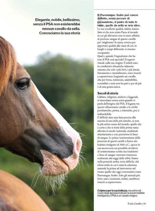 Il Mio Cav (Mar-Apr 2024) 6