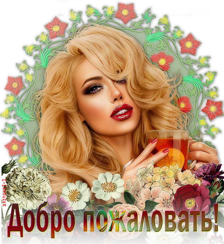 Добро пожаловать