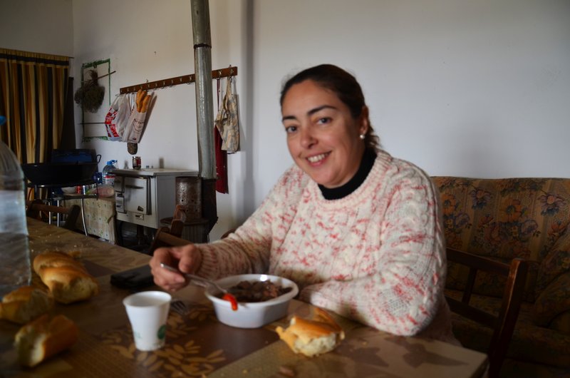 Navarra y sus pueblos-2015 - Blogs de España - Las Bárdenas Reales-15-11-2015 (62)