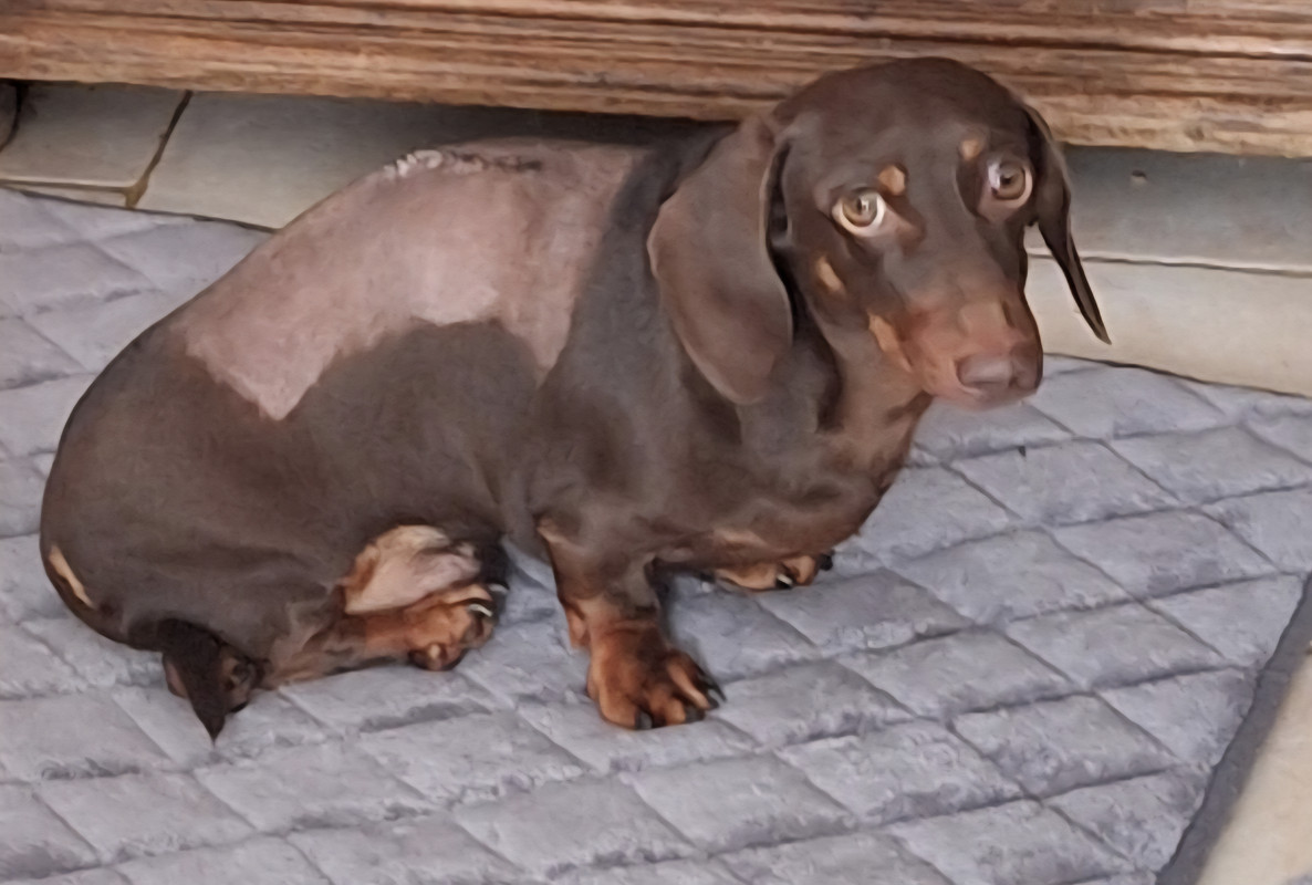 [Image: 20250918-164550.jpg]