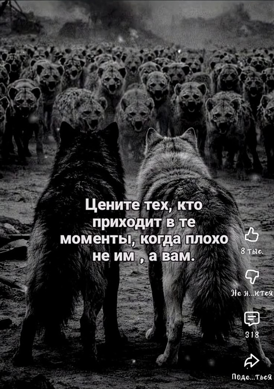 [Изображение: d761fbbef9b7ab403e5e834097924f1d.jpg]