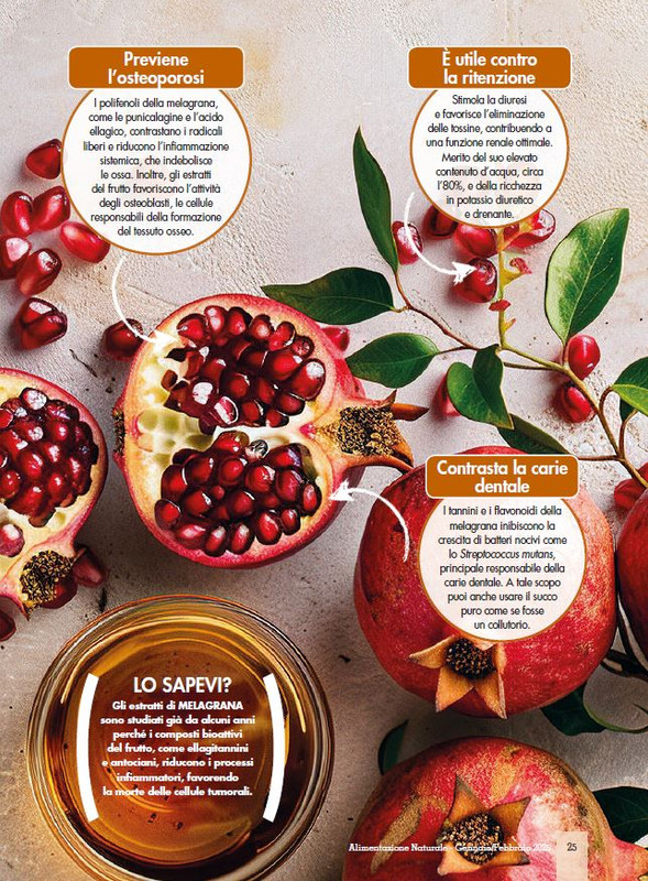 Alim Nat Gen-Feb 2025 (4)