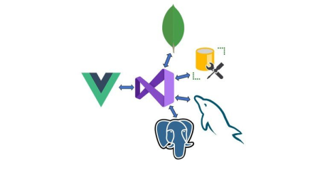 Vue JS and .NET Core Web API Full Stack Master Course