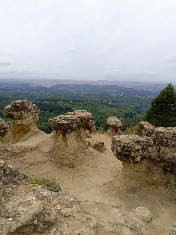 IMG_20240824_125334_733