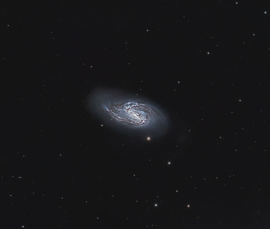 M66_240511 (482x60''__G101_25d_f_df_L_Pro)
