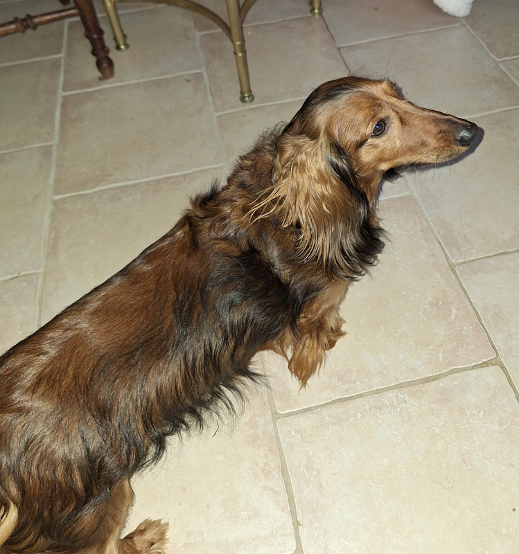 [Image: 20231228-143025.jpg]