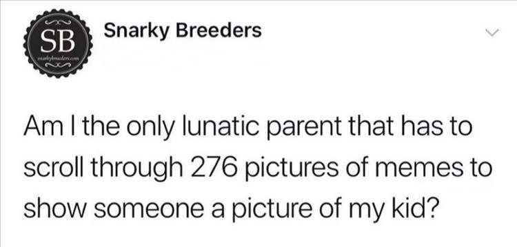 20-4.jpg