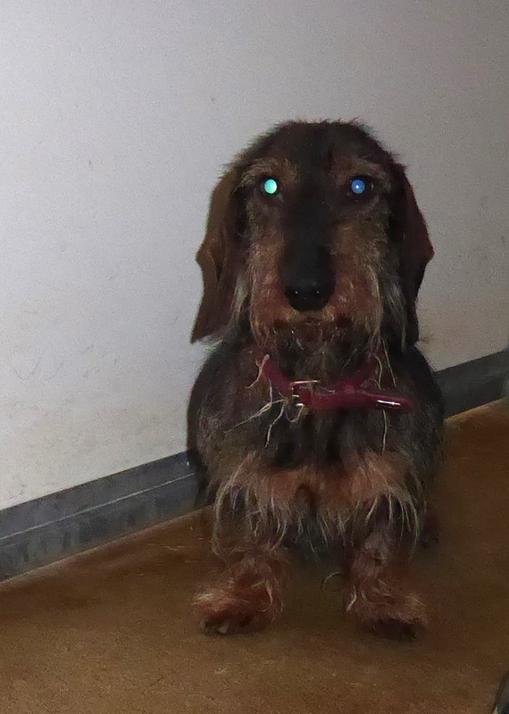 [Image: P1020966.jpg]