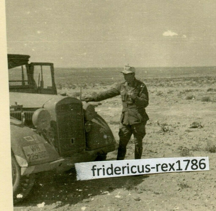 Foto WH Südfront DAK Panzer Truppe Einheits Kübel mit Kennung Wappen