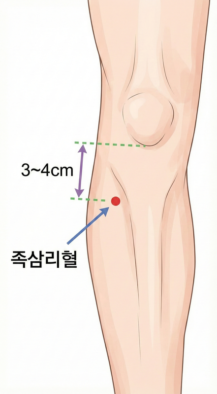 족삼리 지압점 위치