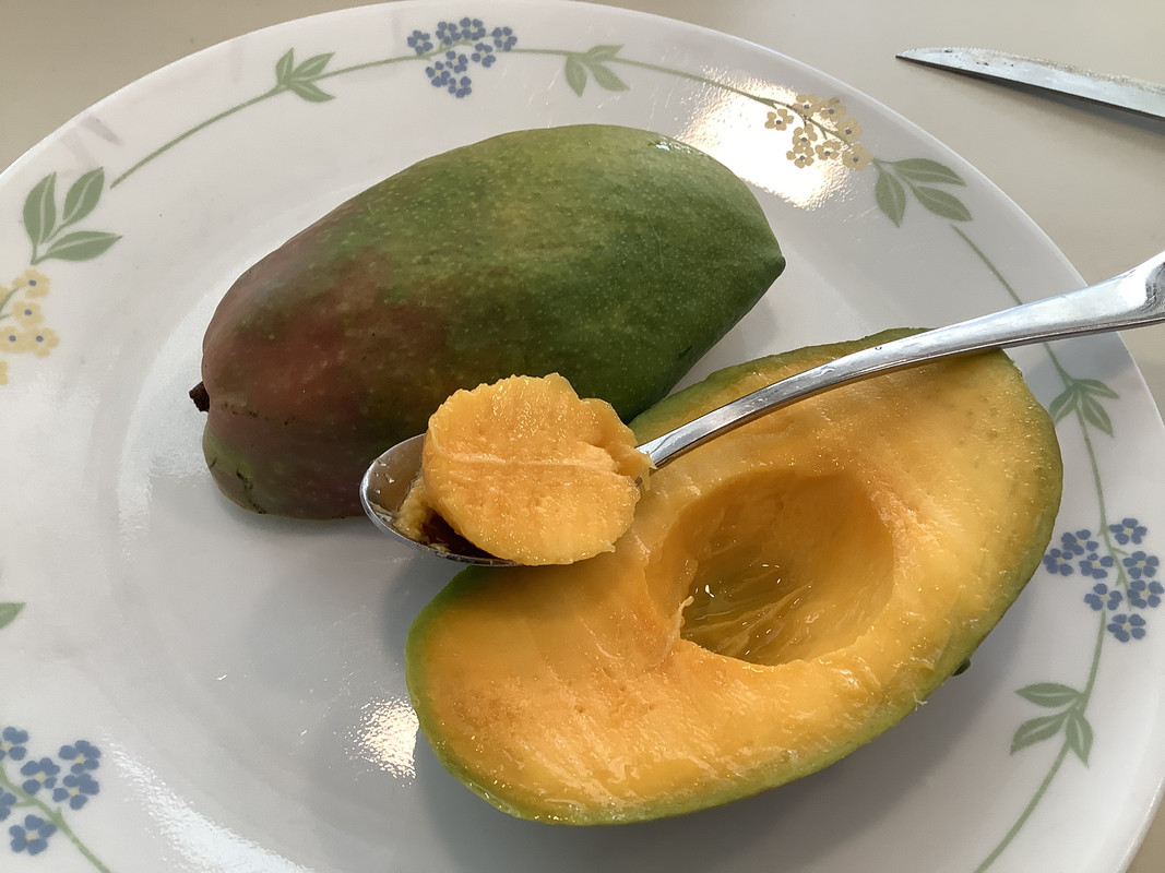 CA649692-0A55-4814-97DB-E96904DAA55A