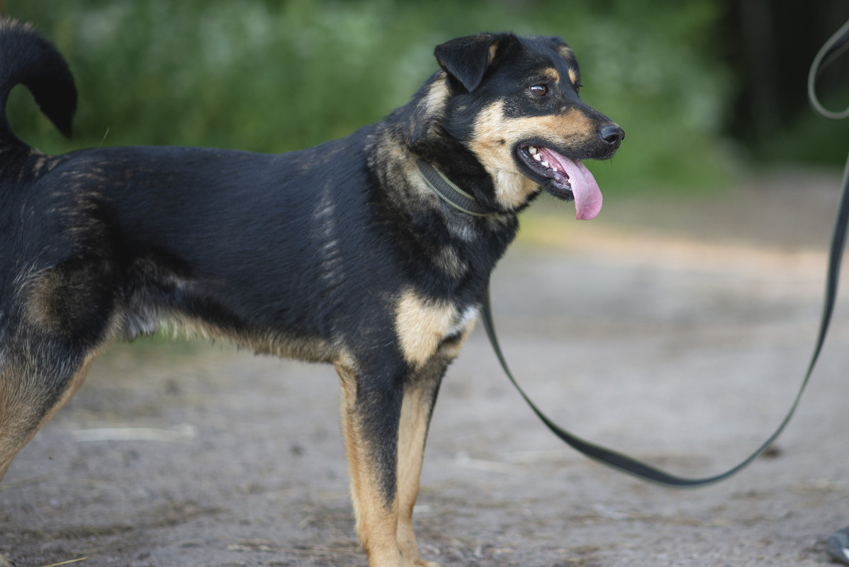 610_1195_бобруйск