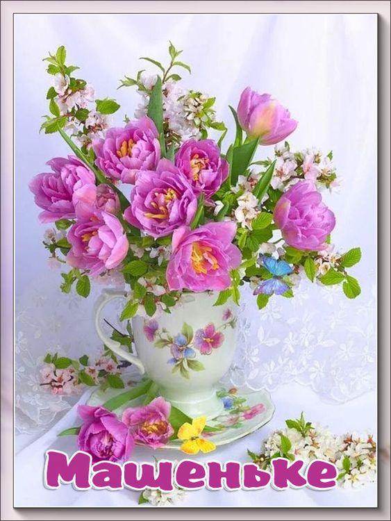 499ae26ff1878a3c183a7de9d2d273b4.jpg