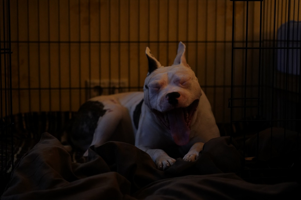 457C0646-1E55-4D2D-9167-09AF22E16CFE