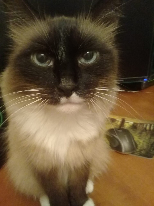 Безымянный