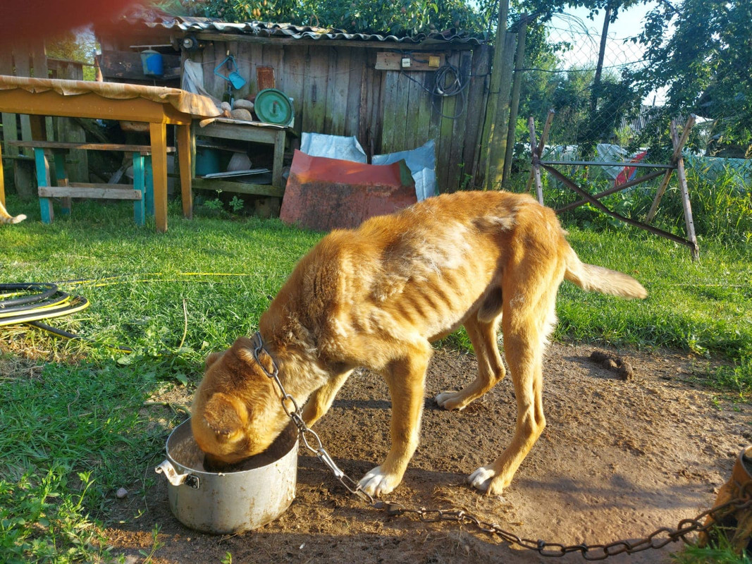 D4FB0B18-D434-478C-9016-523F53EB96C6