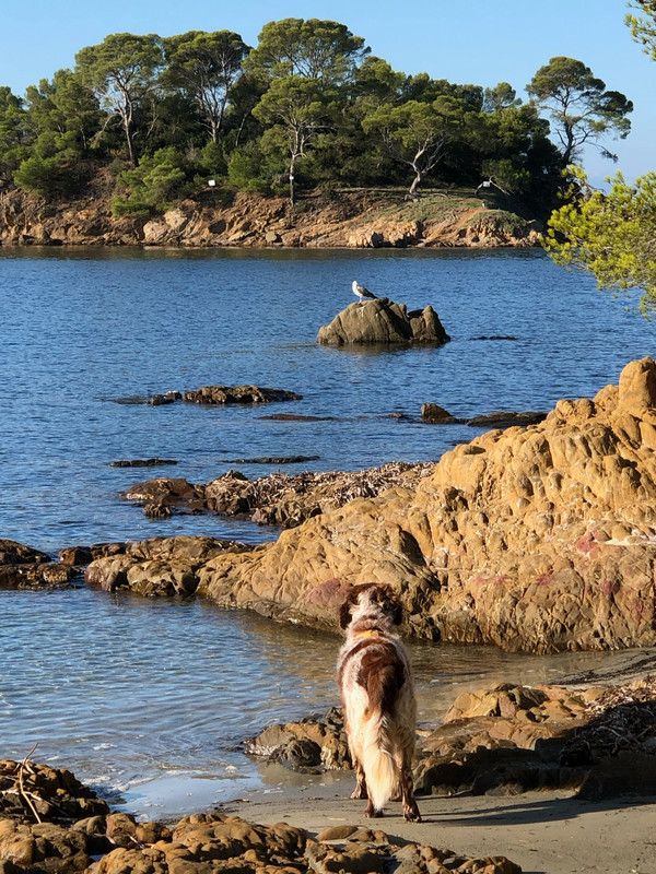 459E076C-2FC6-4829-B17F-CEECDA914CE7