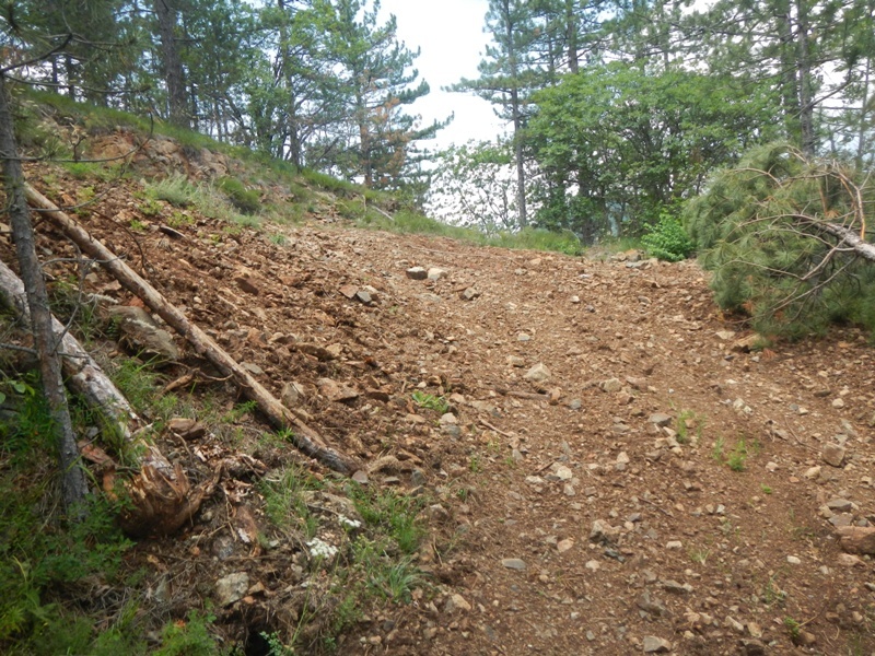 Zlatibor juli 2013 (74)