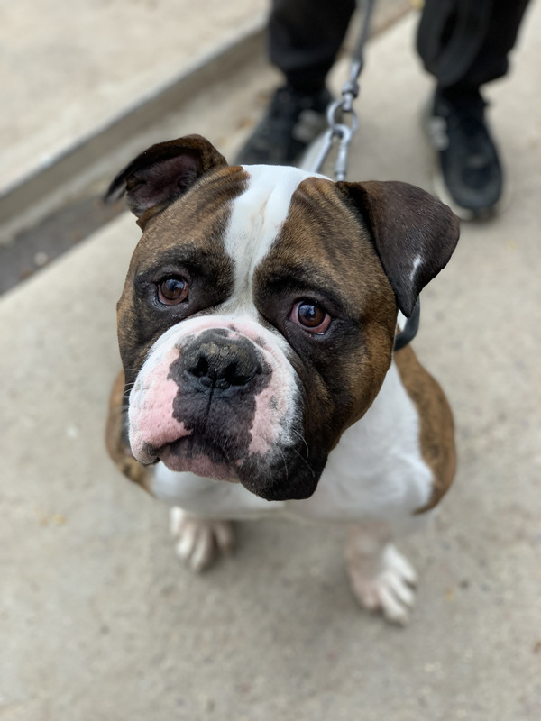 F146CDC1-2DA4-464D-A6B2-92CA340D413B