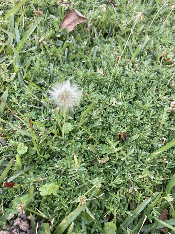 A5FEF15C-127F-4BFF-AFBB-77334E4882C6