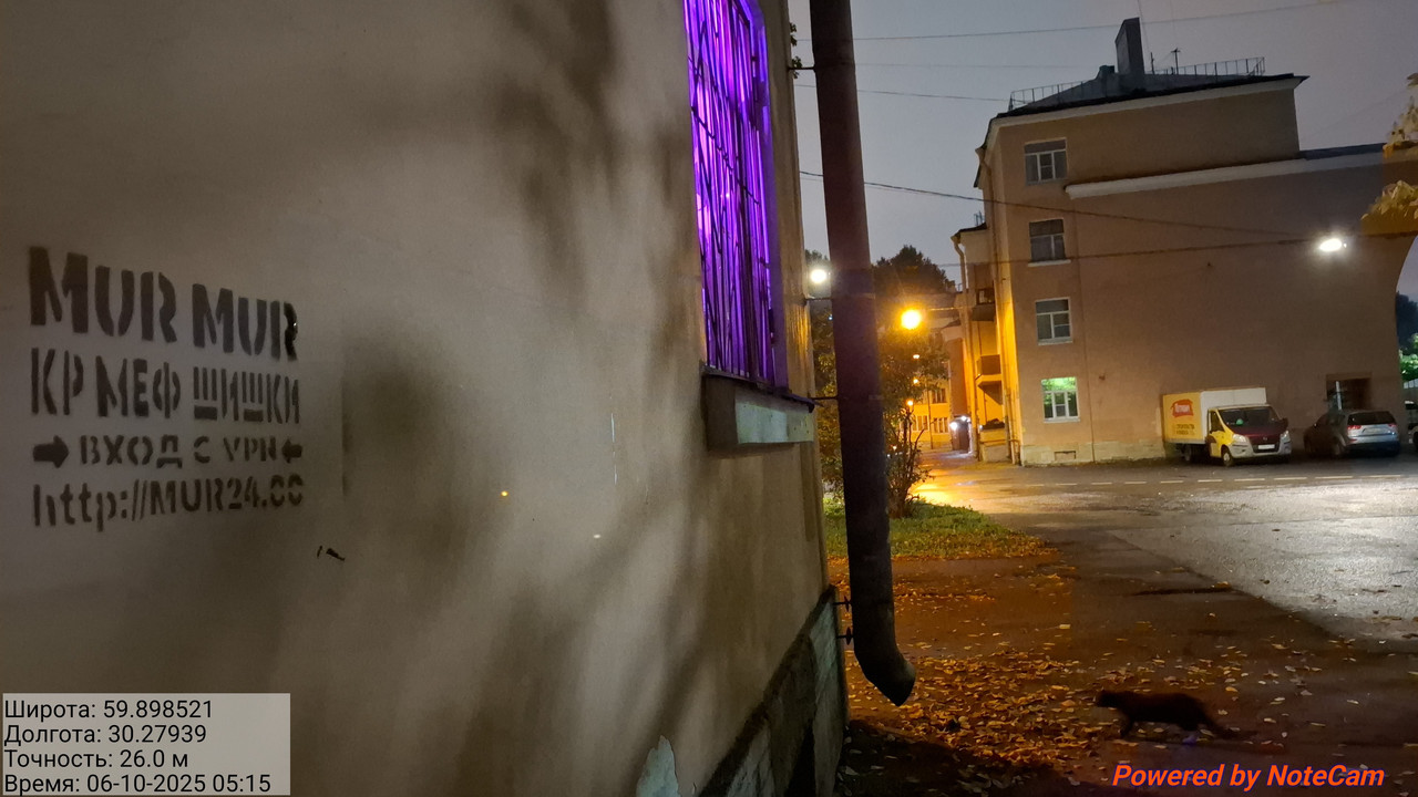 20251006_051534