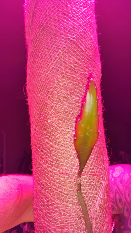 20150421_210012