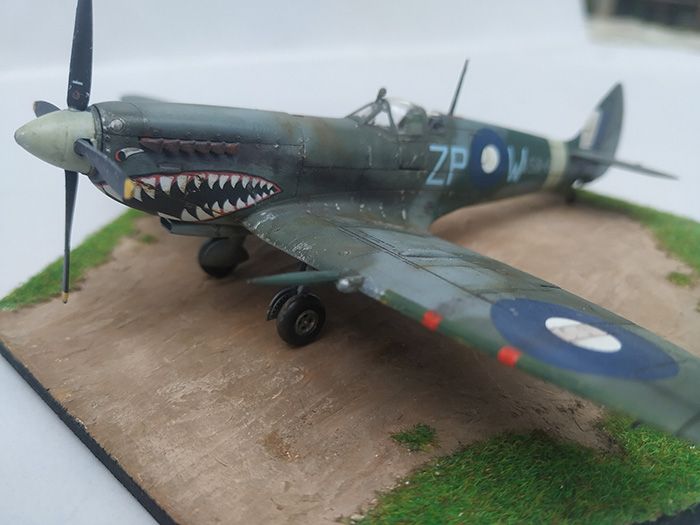 Spitfire Mk.VIII, Eduard, 1/72 IMG-20231016-101619