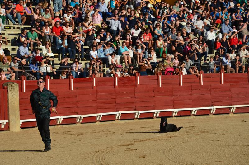 Exhibición Guardia Civil-30-9-2016 - Toledo y sus pueblos-1996/2026 (47)