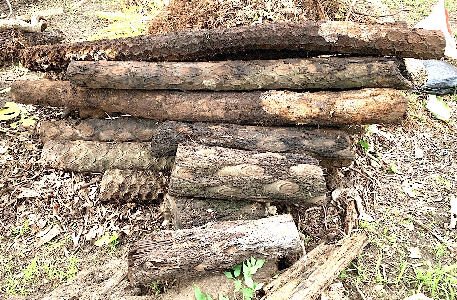 7400AC8F-25CA-43A3-AECE-364DD166F049