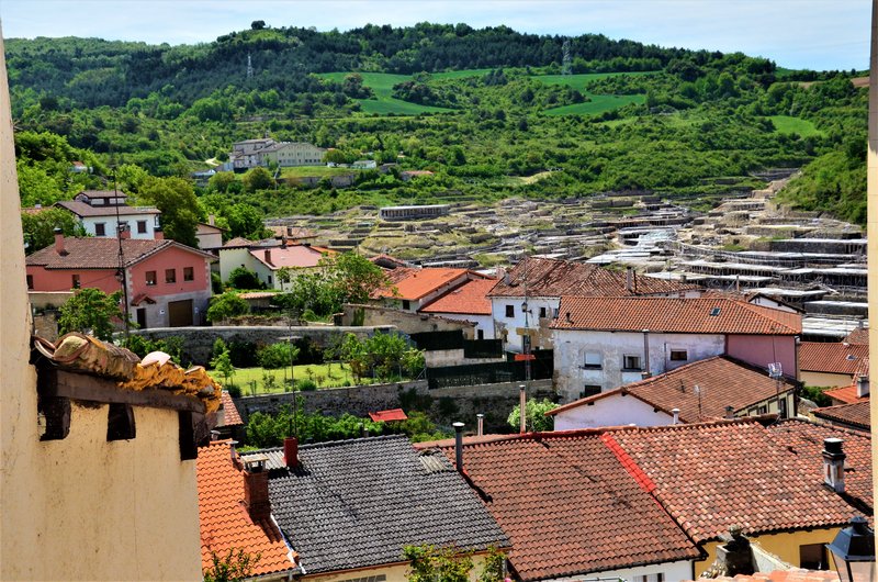 ALAVA Y SUS PUEBLOS-2011/2021 - Blogs de España - VALLE SALADO DE AÑANA-21-5-2021 (36)