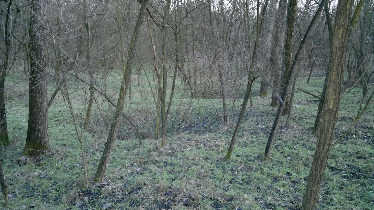 2016-01-14-3A Kálvária erdőben lévő bombatölcsérek,vagy inkább r