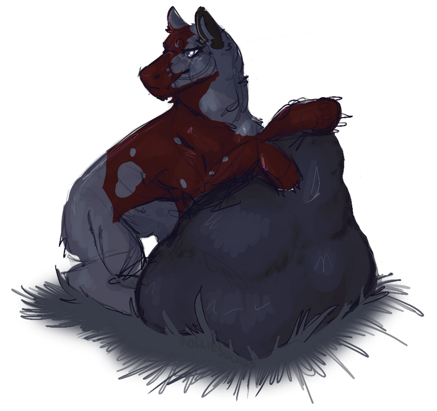 IMG-0625.png