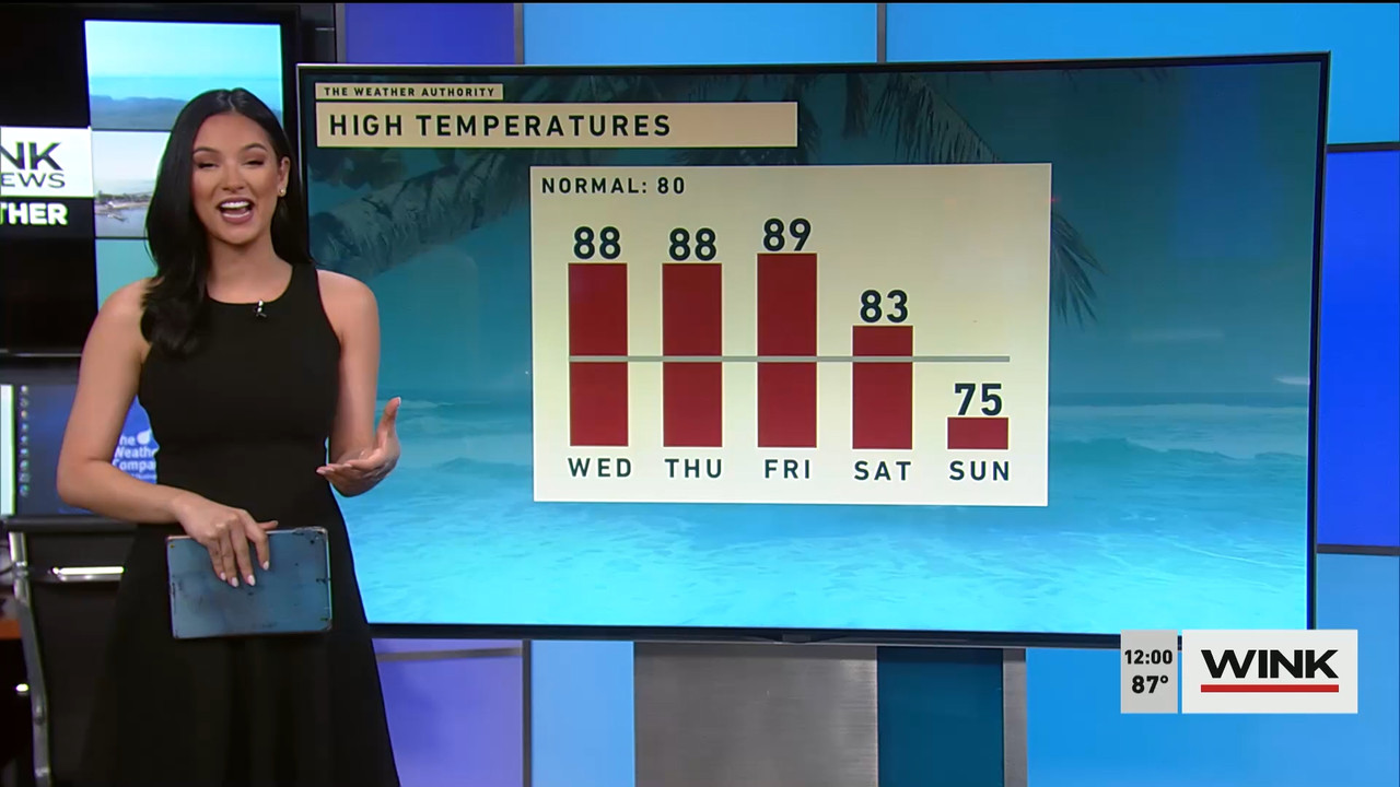 The WINK Noon News 2022_03_09_17_00_00.ts_snapshot_06.55.178