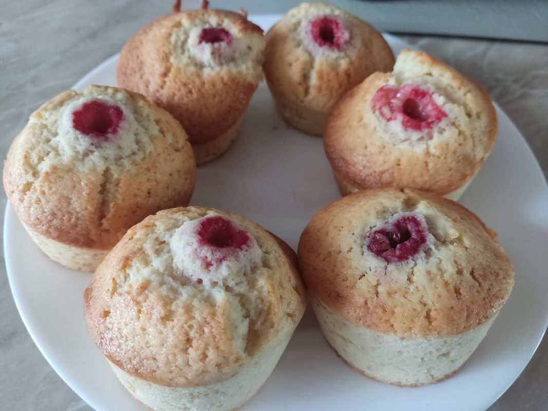 изображение_viber_2024-09-05_12-50-31-560