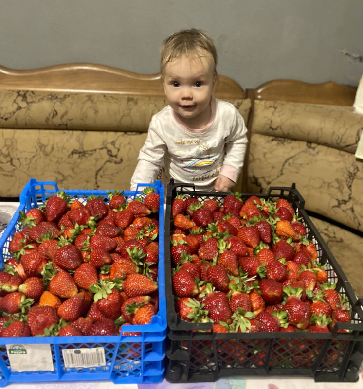 74A8367D-64B7-4EC1-A85B-CD0AC4C8F7E4